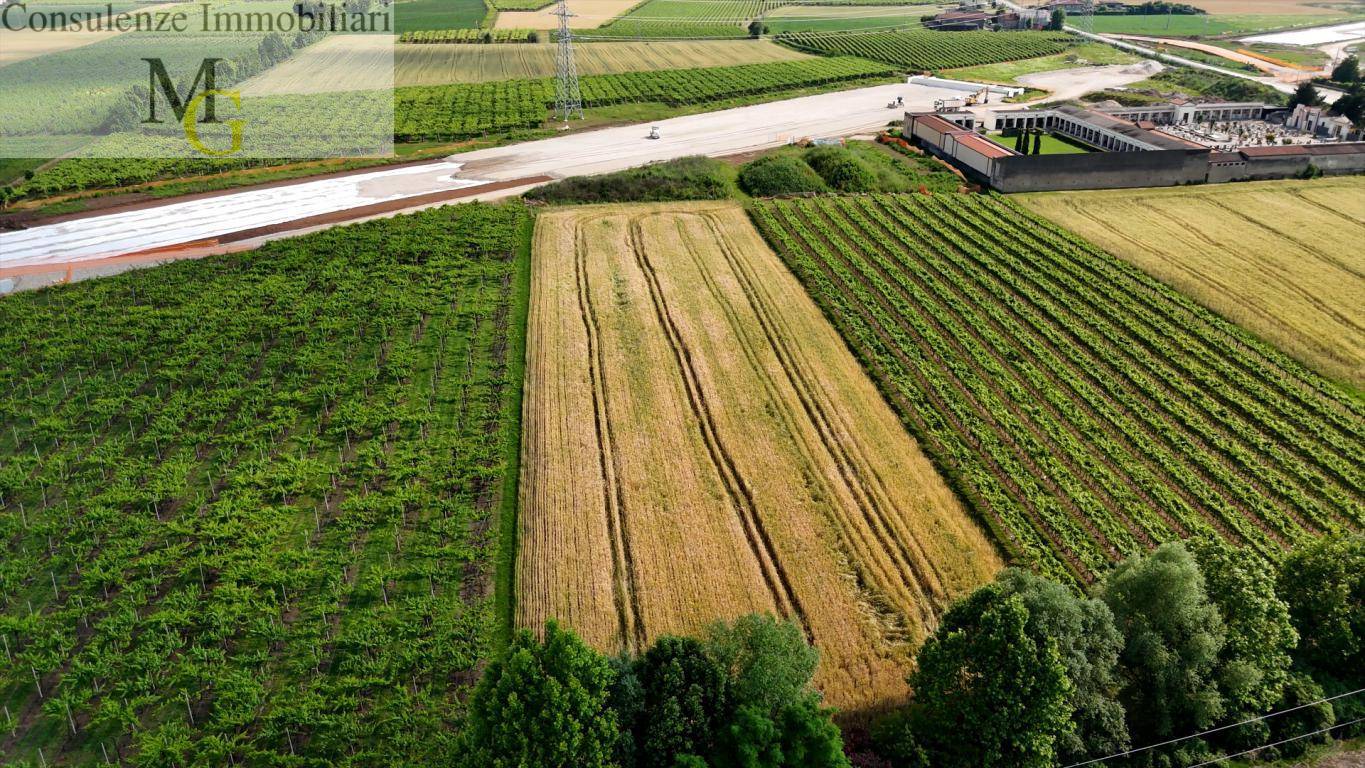 Terreno Agricolo in vendita a San Bonifacio, Locara