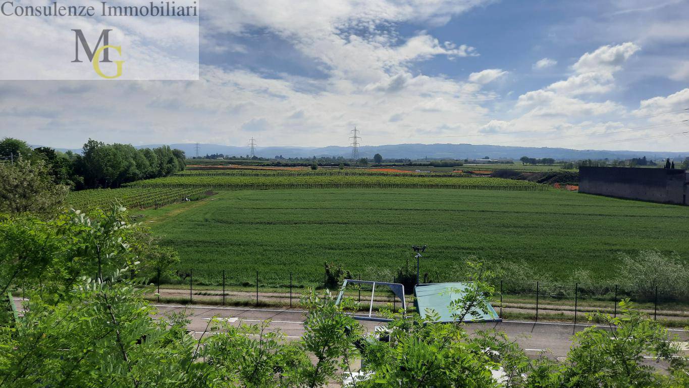 Terreno Agricolo in vendita a San Bonifacio, Locara
