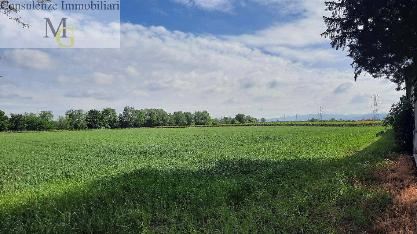 Terreno Agricolo in vendita a San Bonifacio, Locara