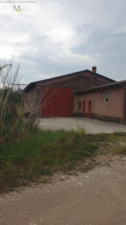 Terreno Agricolo in vendita a Belfiore