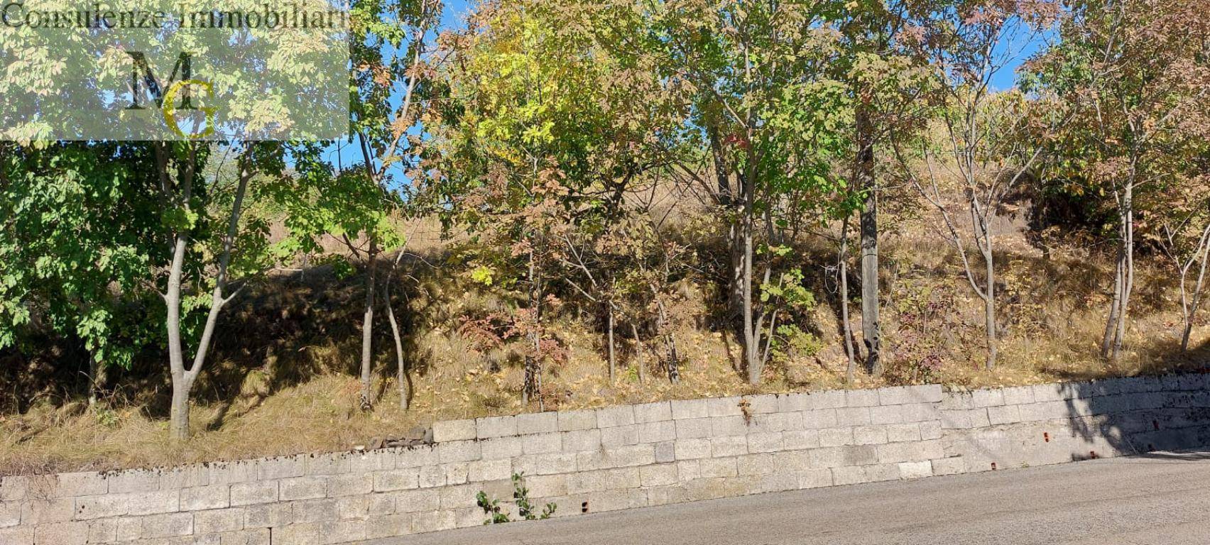 Terreno Agricolo in vendita a Vestenanova