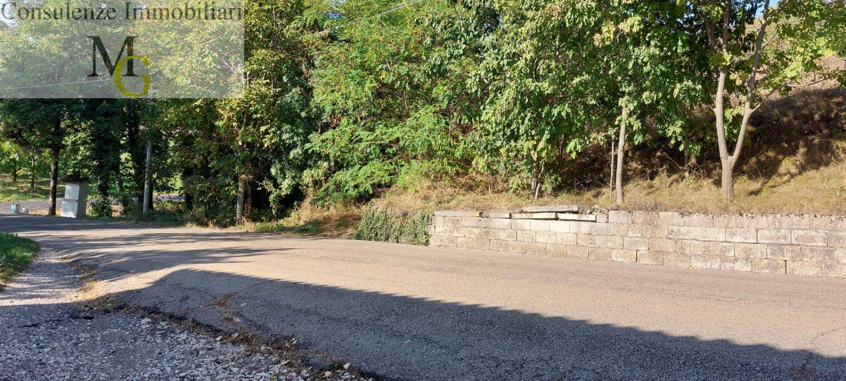 Terreno Agricolo in vendita a Vestenanova