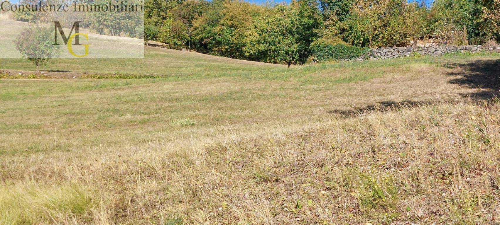 Terreno Agricolo in vendita a Vestenanova