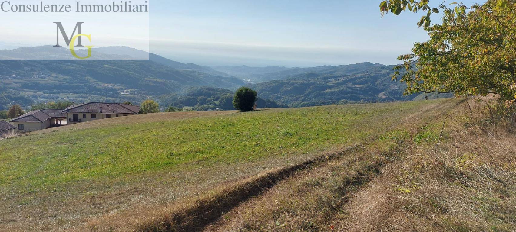 Terreno Agricolo in vendita a Vestenanova
