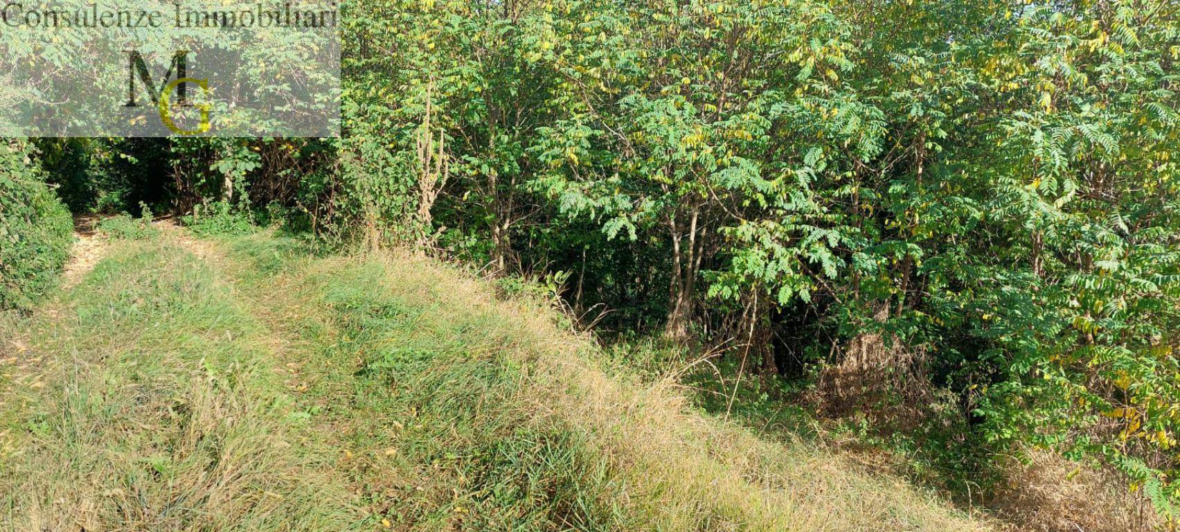 Terreno Agricolo in vendita a Vestenanova