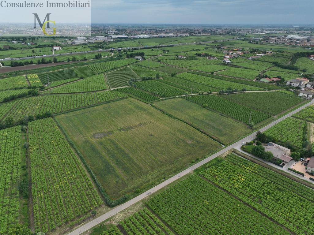 Terreno Agricolo in vendita a Monteforte d'Alpone