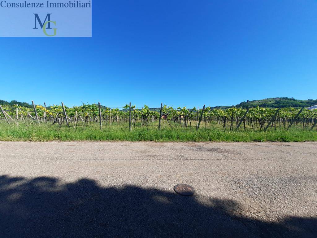 Terreno edificabile in vendita a Gambellara