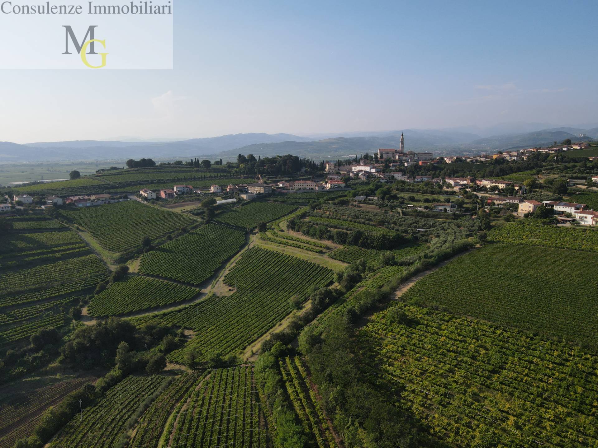 Terreno Agricolo in vendita a Colognola ai Colli