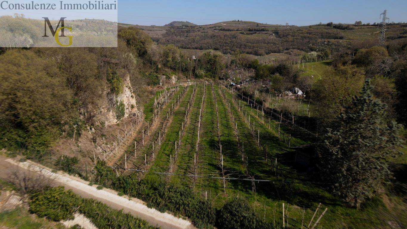Rustico in vendita a Soave
