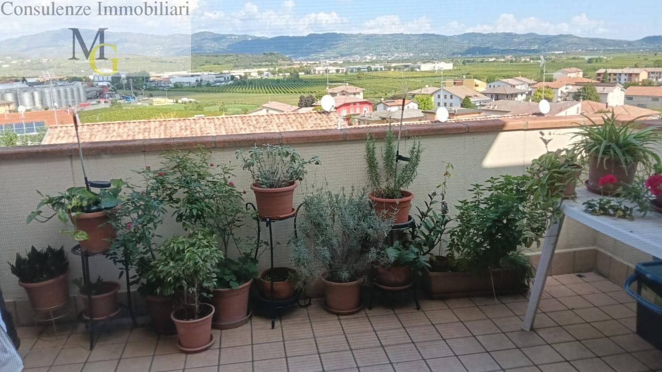 Appartamento in vendita a Monteforte d'Alpone