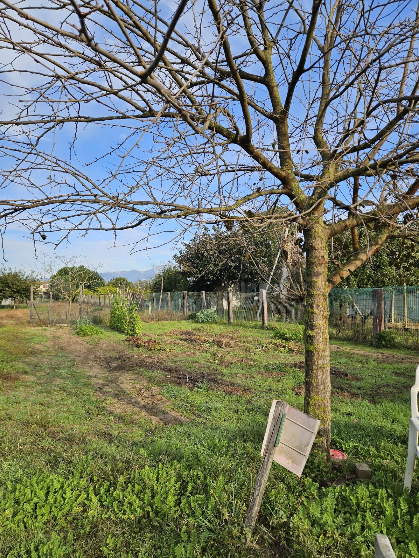 Terreno Agricolo in vendita, Viareggio migliarina