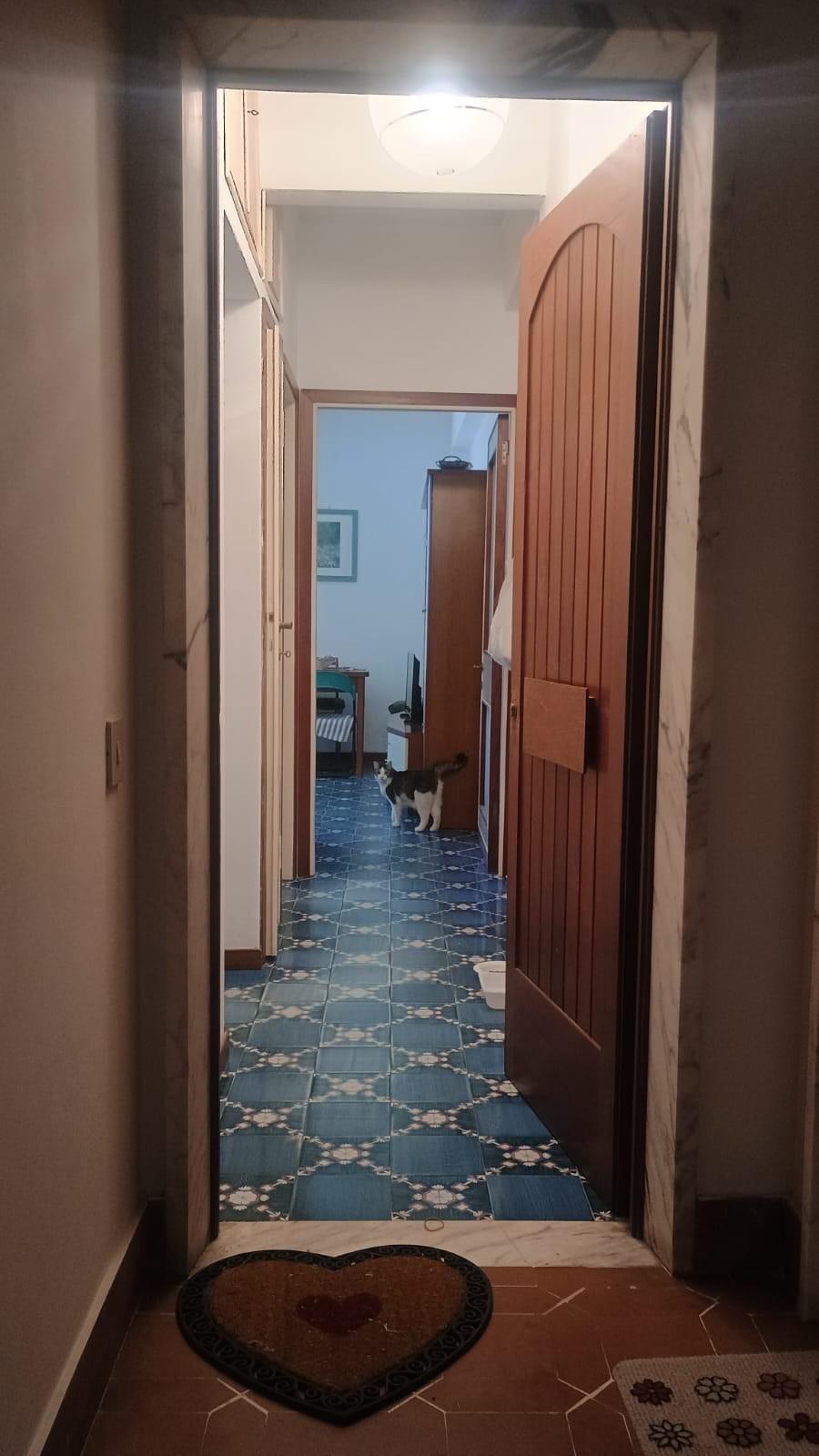 Bilocale in vendita, Viareggio citt� giardino