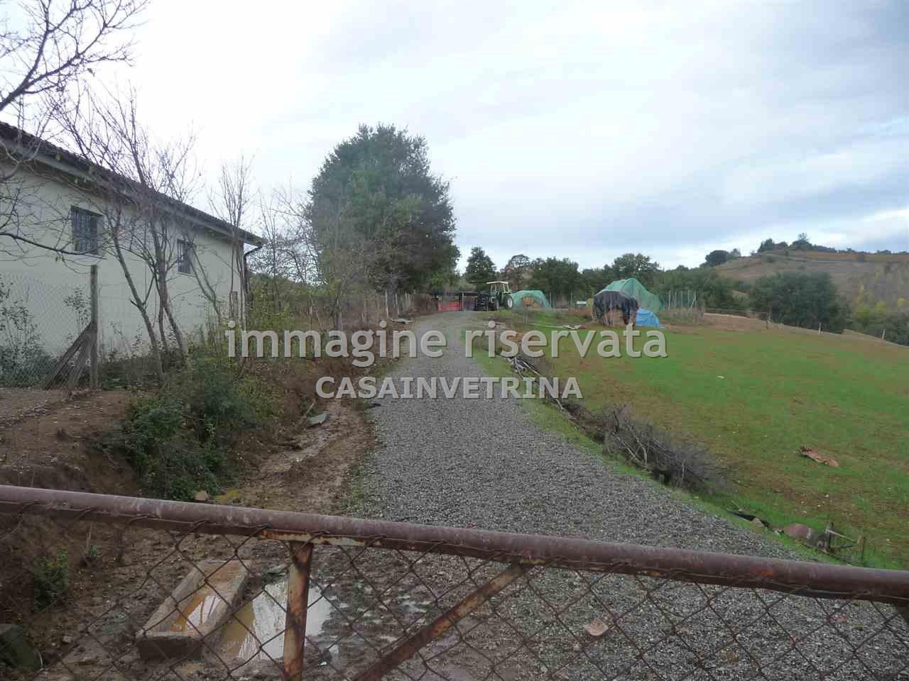 Attivit commerciale con giardino in localita manzinello, Campagnatico