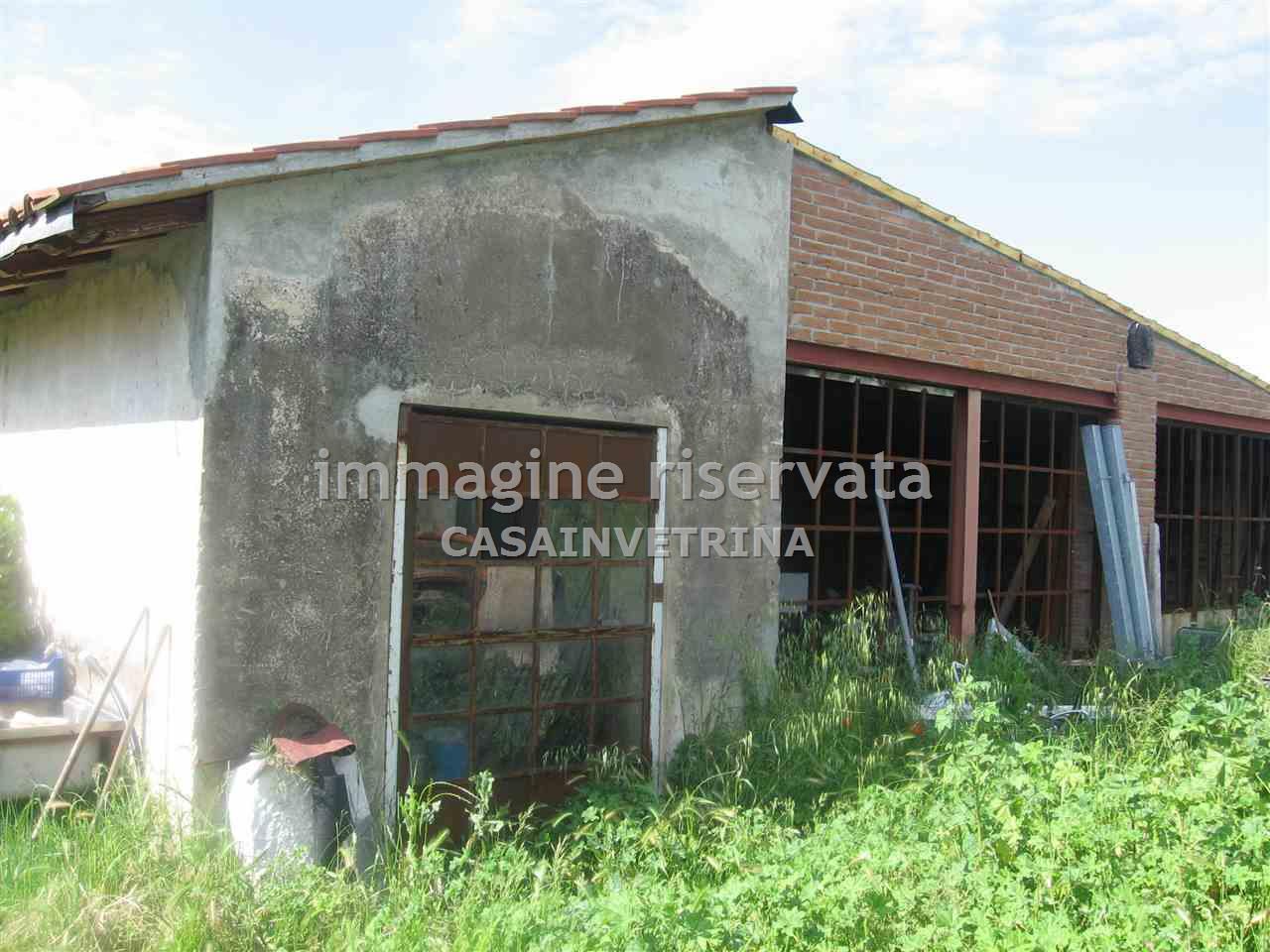 Rustico con giardino in rimigliano, San Vincenzo