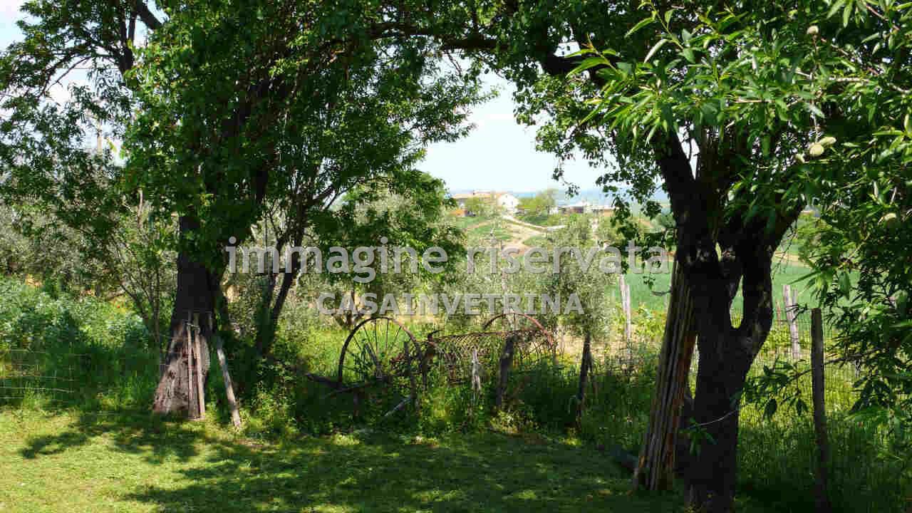 Villa con giardino in poggio tondo, Scansano