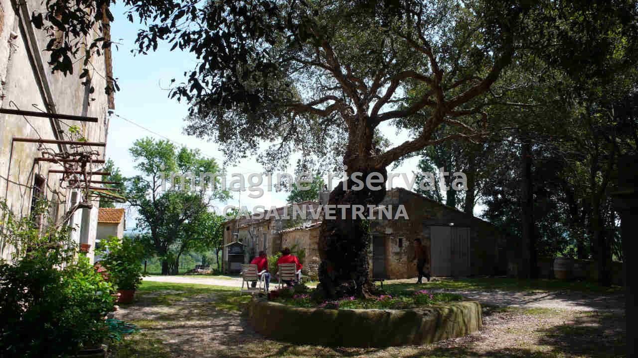 Villa con giardino in poggio tondo, Scansano