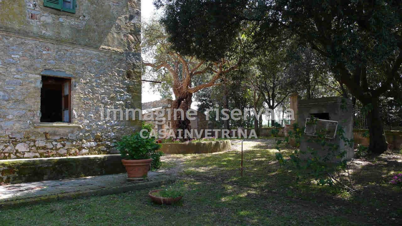 Villa con giardino in poggio tondo, Scansano