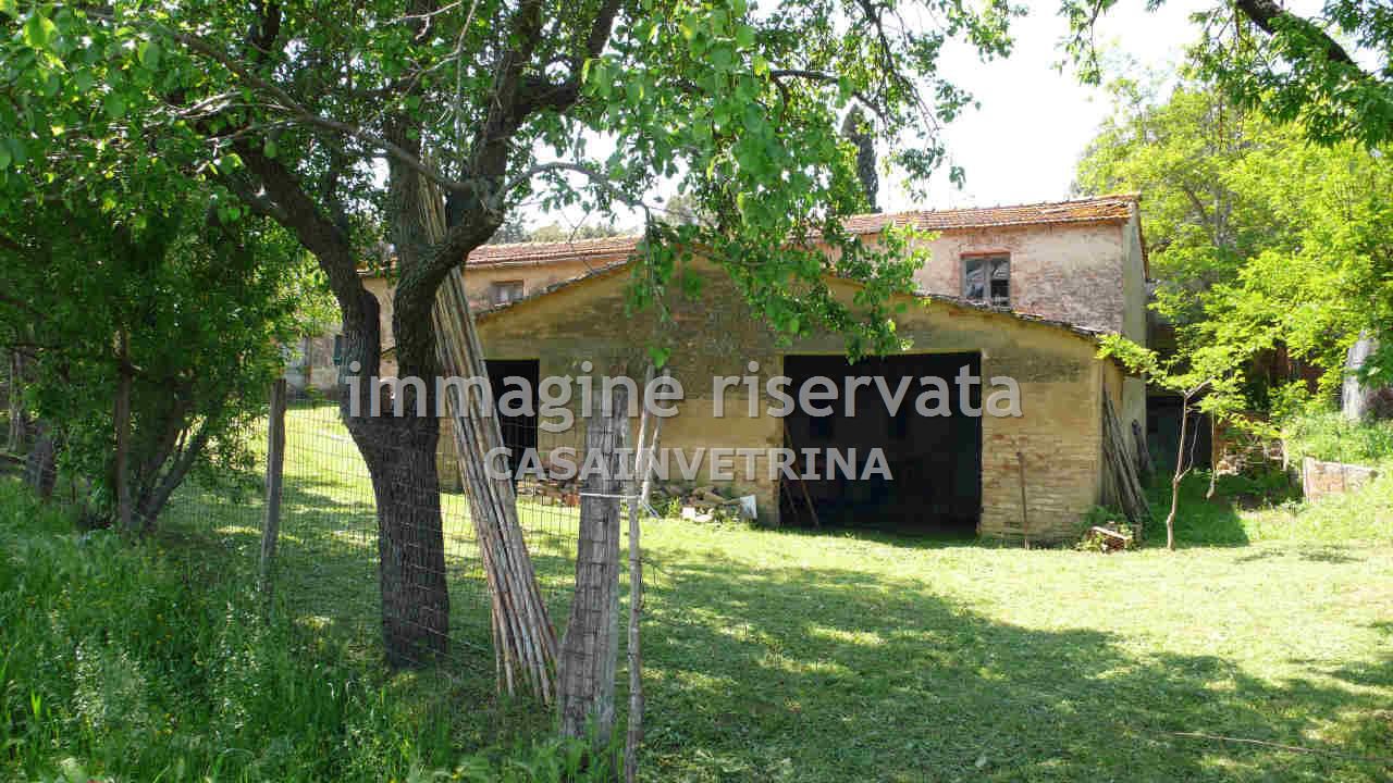 Villa con giardino in poggio tondo, Scansano