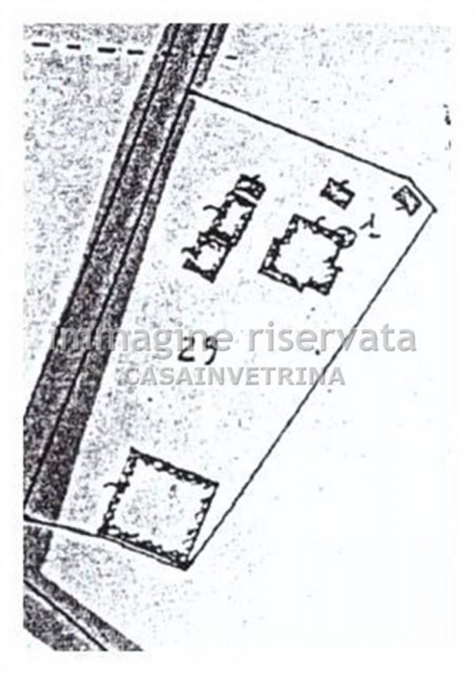 Attivit commerciale con giardino in podere lupinaie, Campagnatico