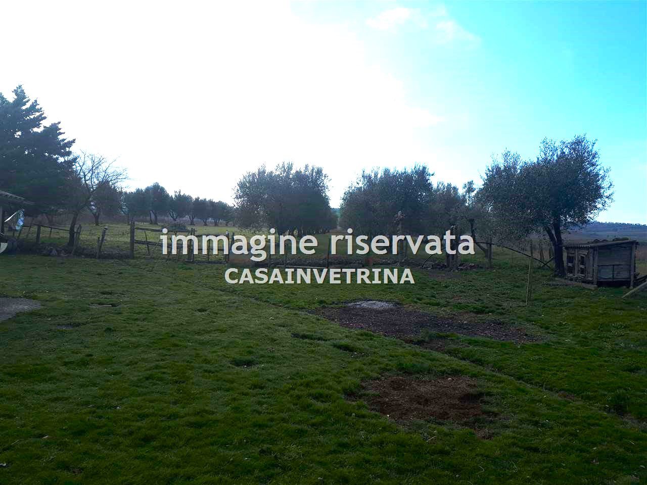 Rustico con giardino in podere il tordo, Cinigiano