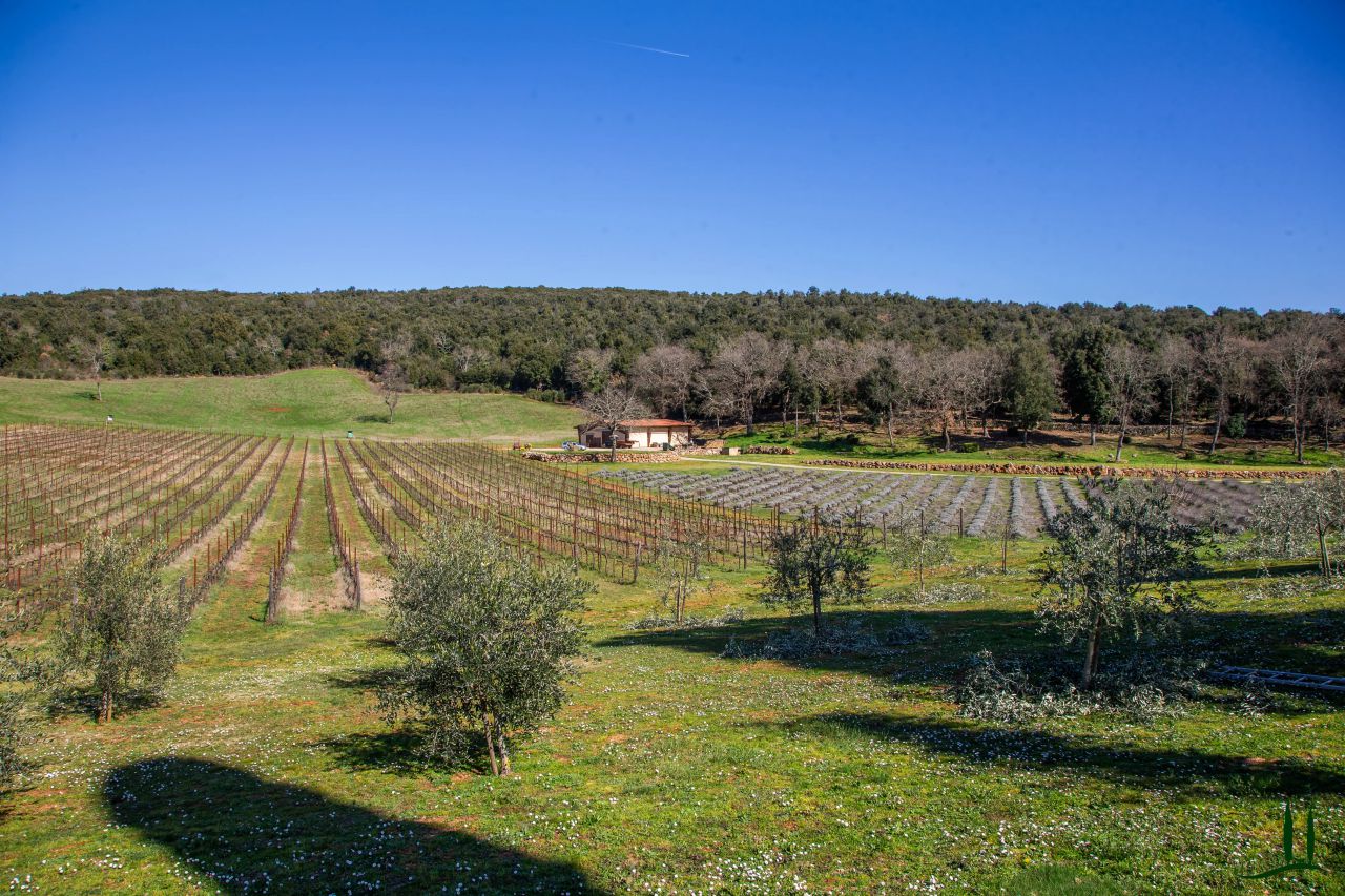 Attivit commerciale con giardino in localita san donato, San Gimignano
