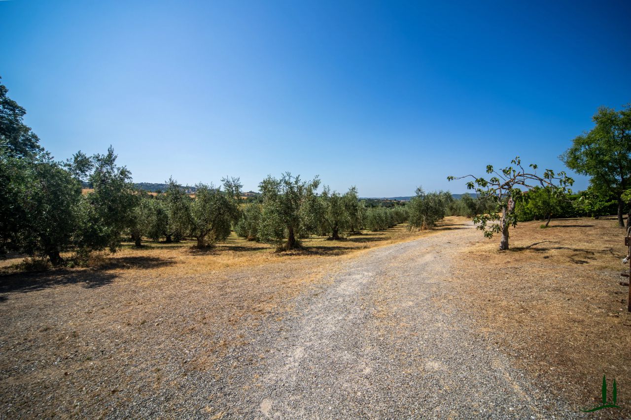 Attivit commerciale con giardino in preselle podere stabbiatini, Scansano