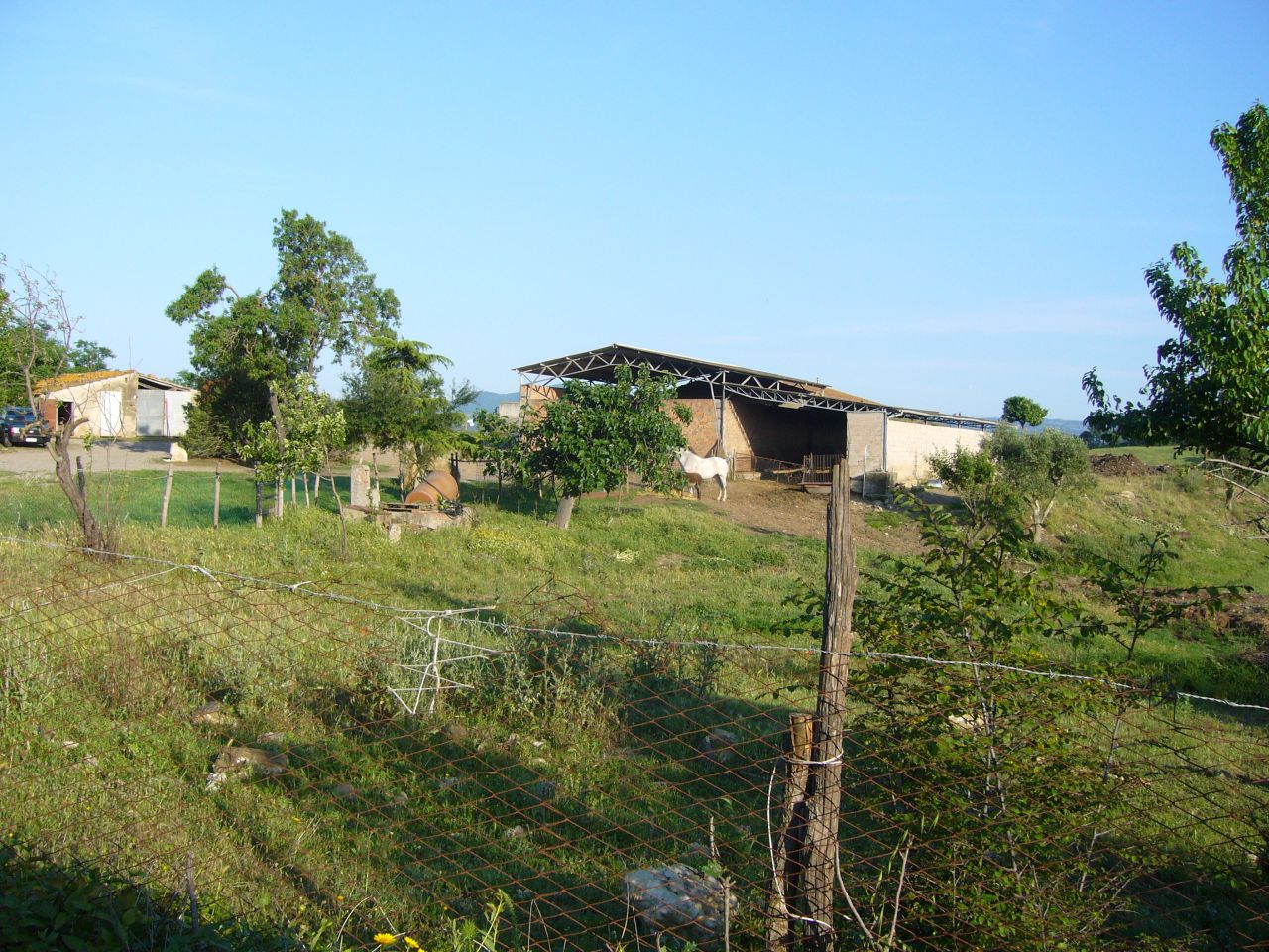 Attivit� commerciale con giardino in poggio galletto, Campagnatico