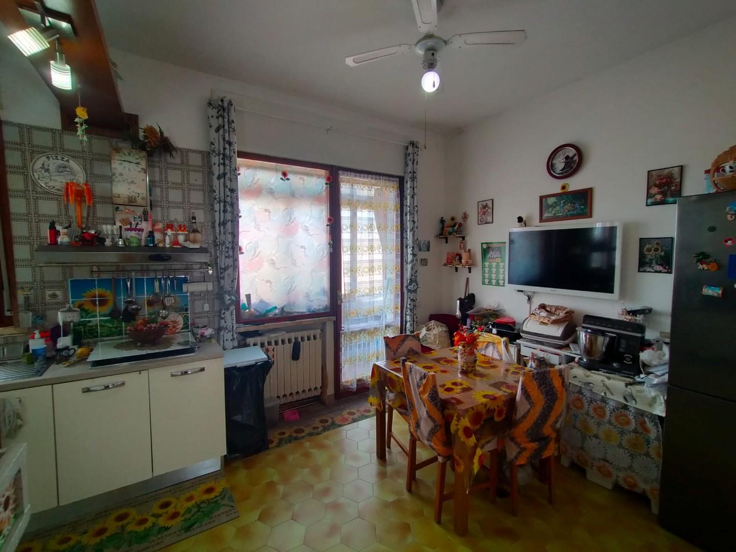 immagine annuncio 3 di 6