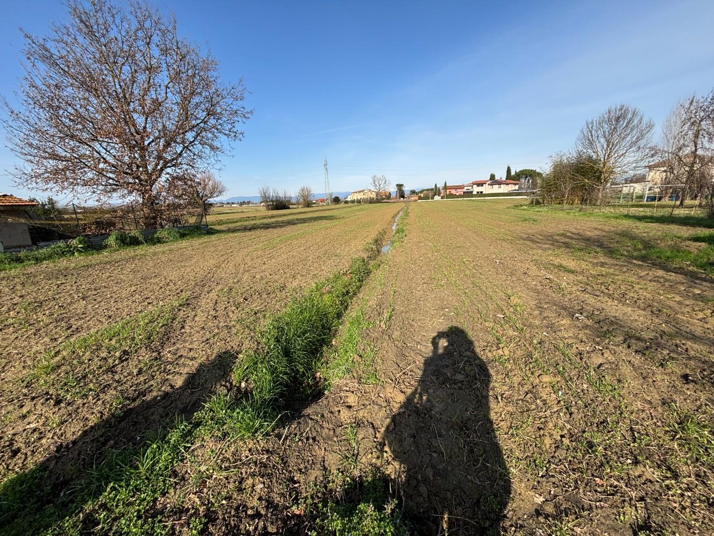Terreno Edificabile in vendita, San Miniato catena