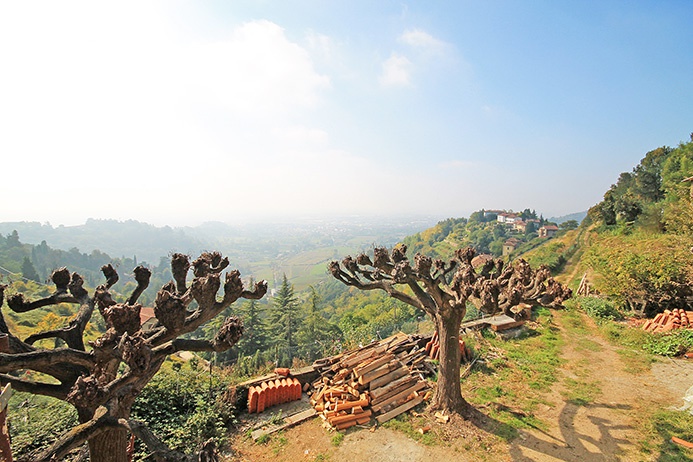 Villa in vendita a Bergamo, Colli di Bergamo