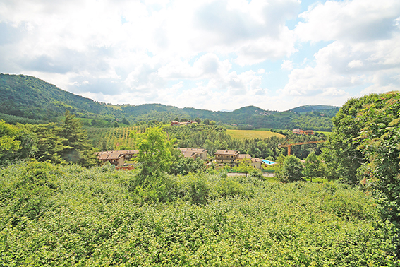 immagine annuncio 1 di 3