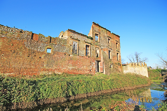 immagine annuncio 3 di 5