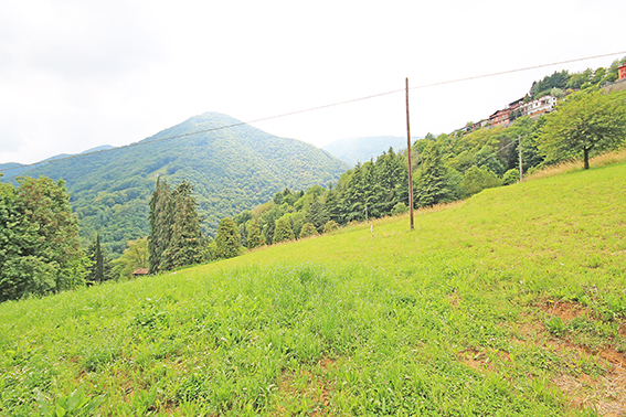 Terreno edificabile in vendita a Gazzaniga, Orezzo