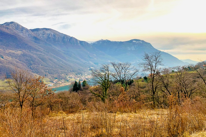 Terreno edificabile in vendita a Ranzanico
