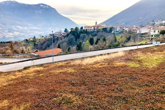 Terreno edificabile in vendita a Ranzanico