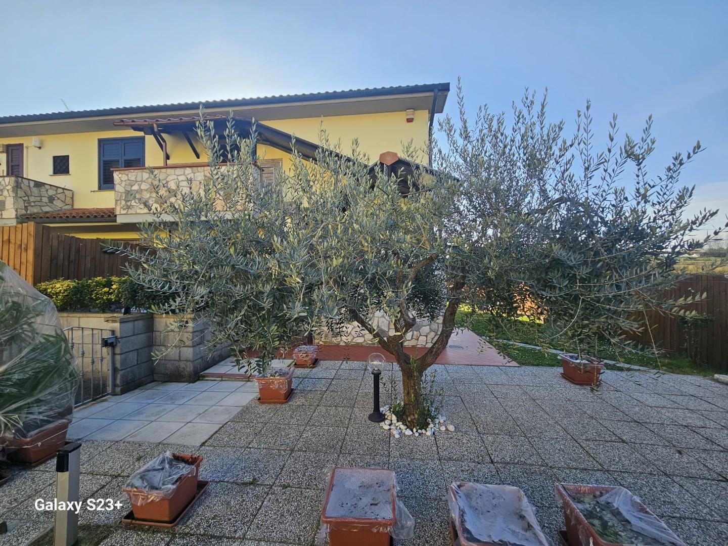 Quadrilocale con giardino a Pontedera