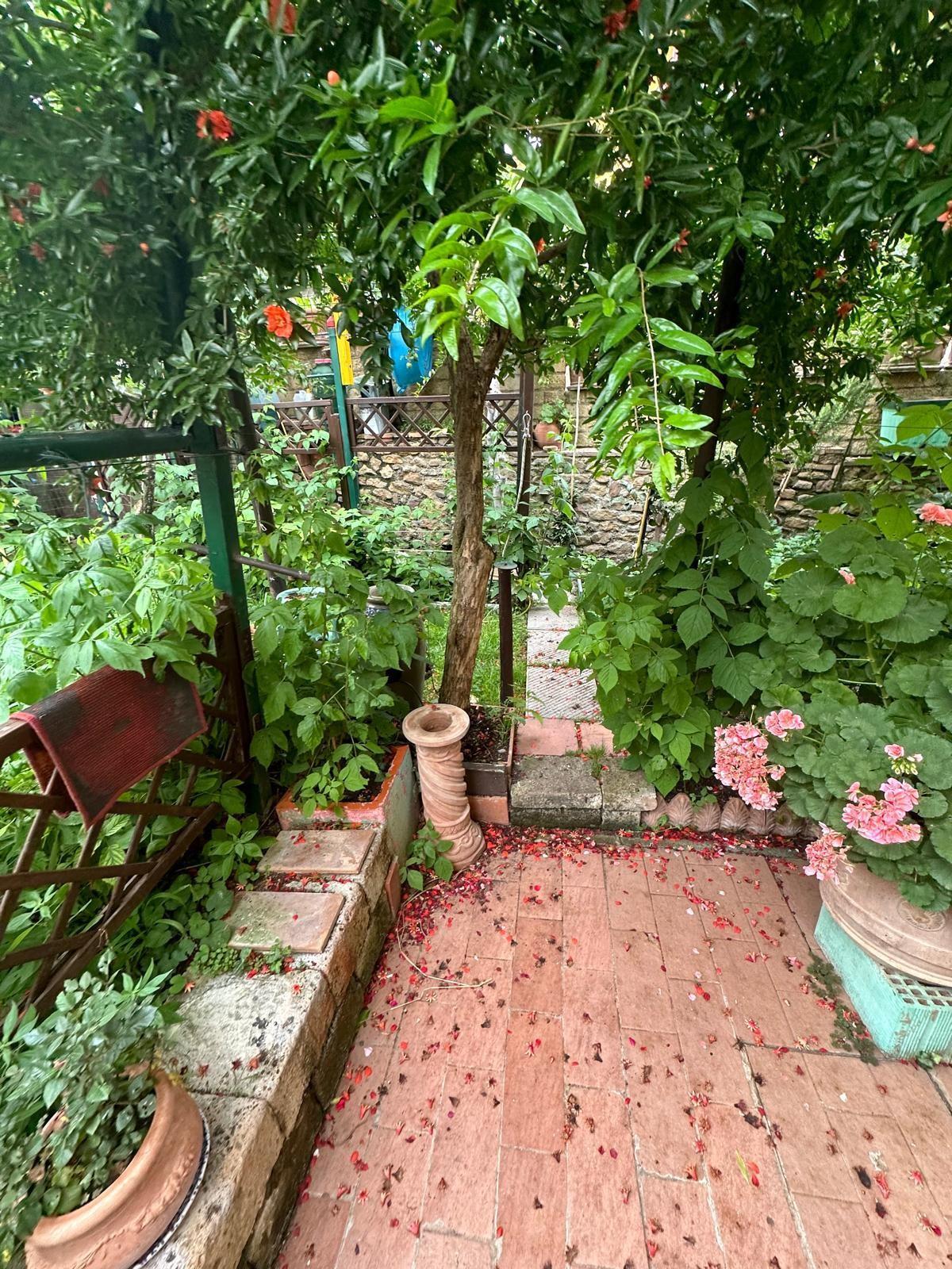 Villa con giardino a Campiglia Marittima