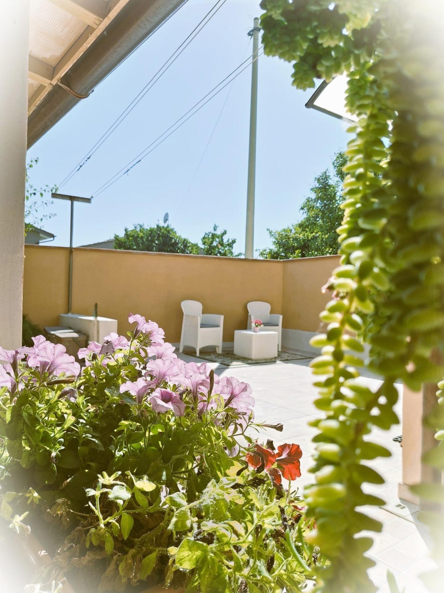 Casa indipendente ristrutturata, Vicopisano uliveto terme