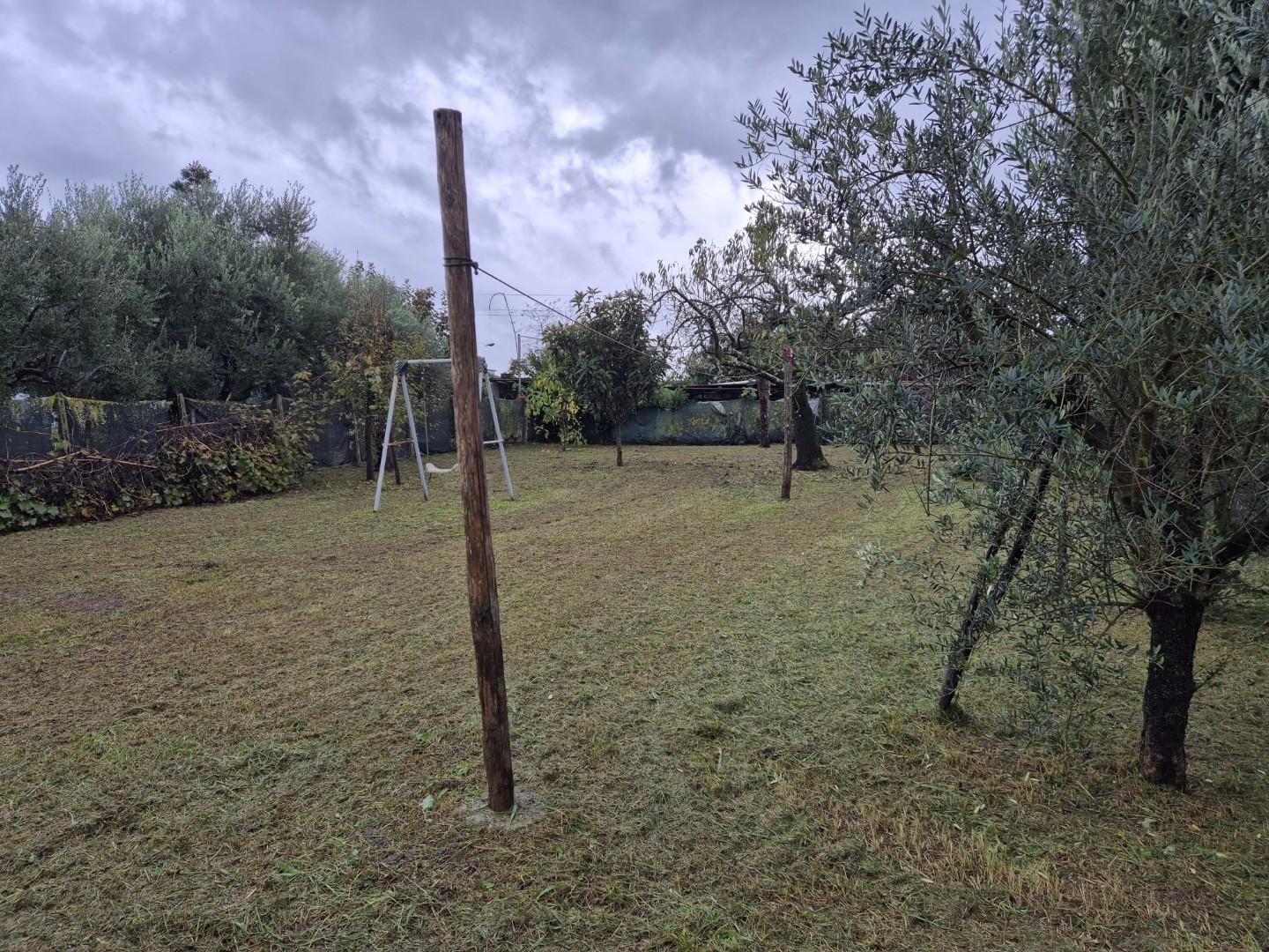 Casa indipendente con giardino, Capannori lammari
