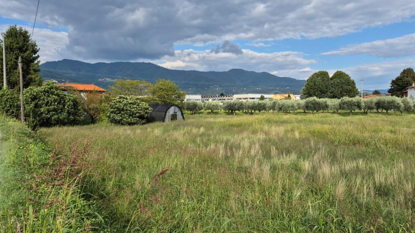 Casa indipendente con giardino, Capannori marlia