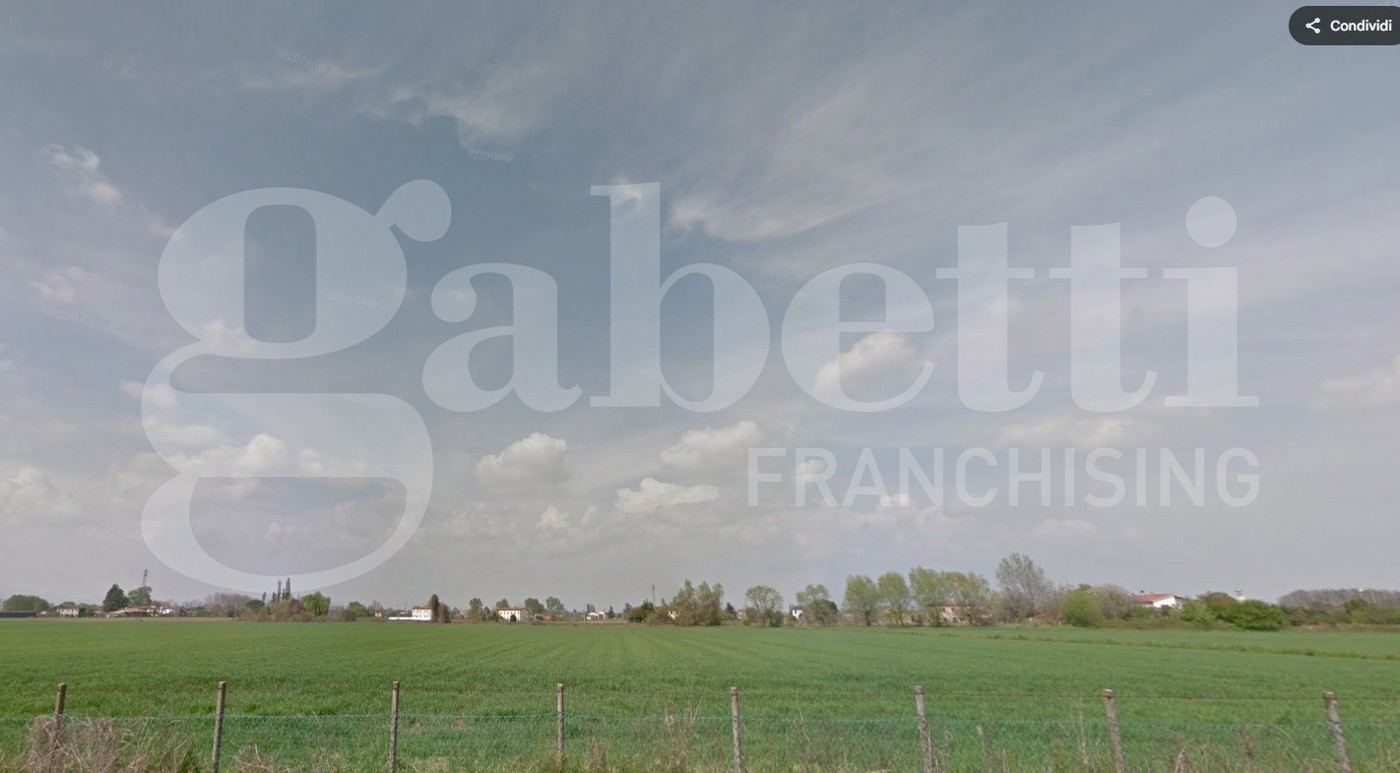 Terreno Agricolo in vendita a Tribano
