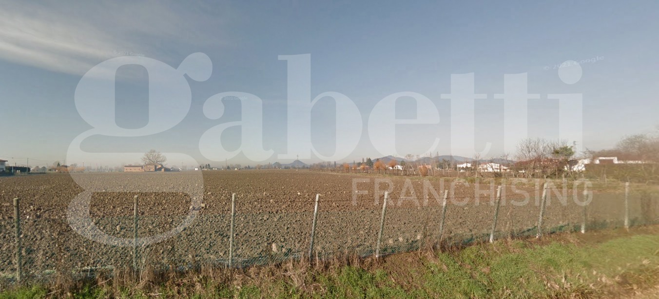 Terreno Agricolo in vendita a Tribano