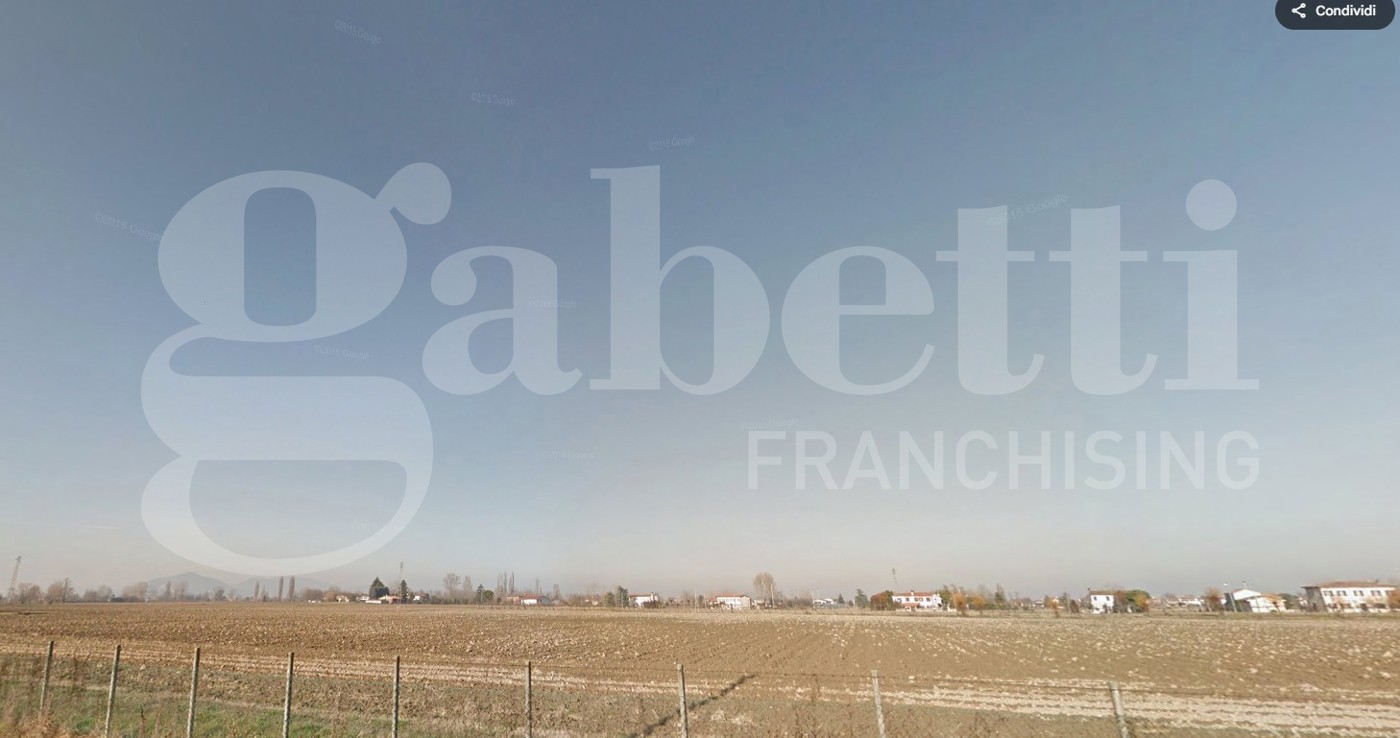 Terreno Agricolo in vendita a Tribano