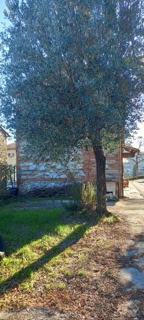 Casa indipendente con giardino a Carmignano