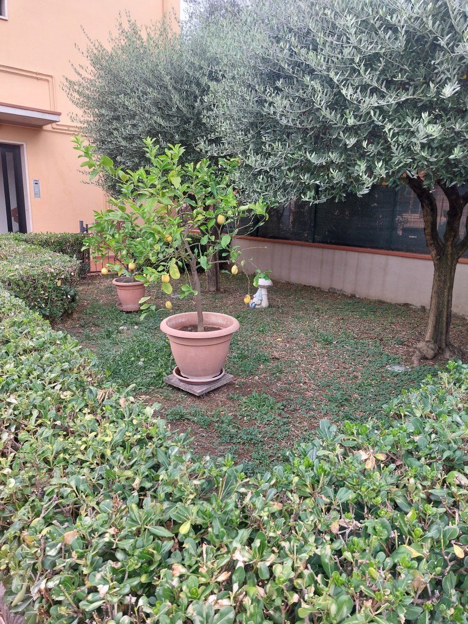 Appartamento con giardino a Carmignano