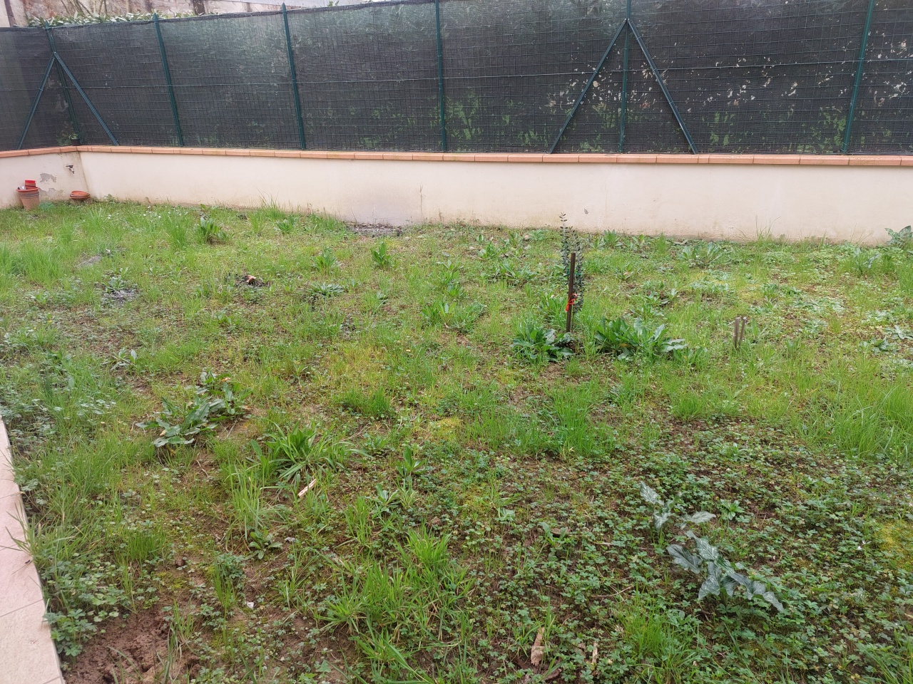 Casa indipendente con giardino a Quarrata