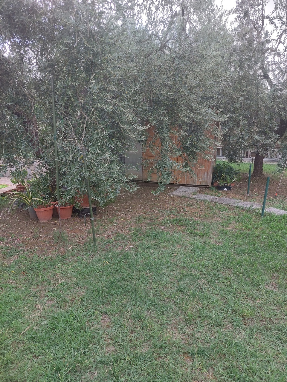 Villa con giardino a Carmignano