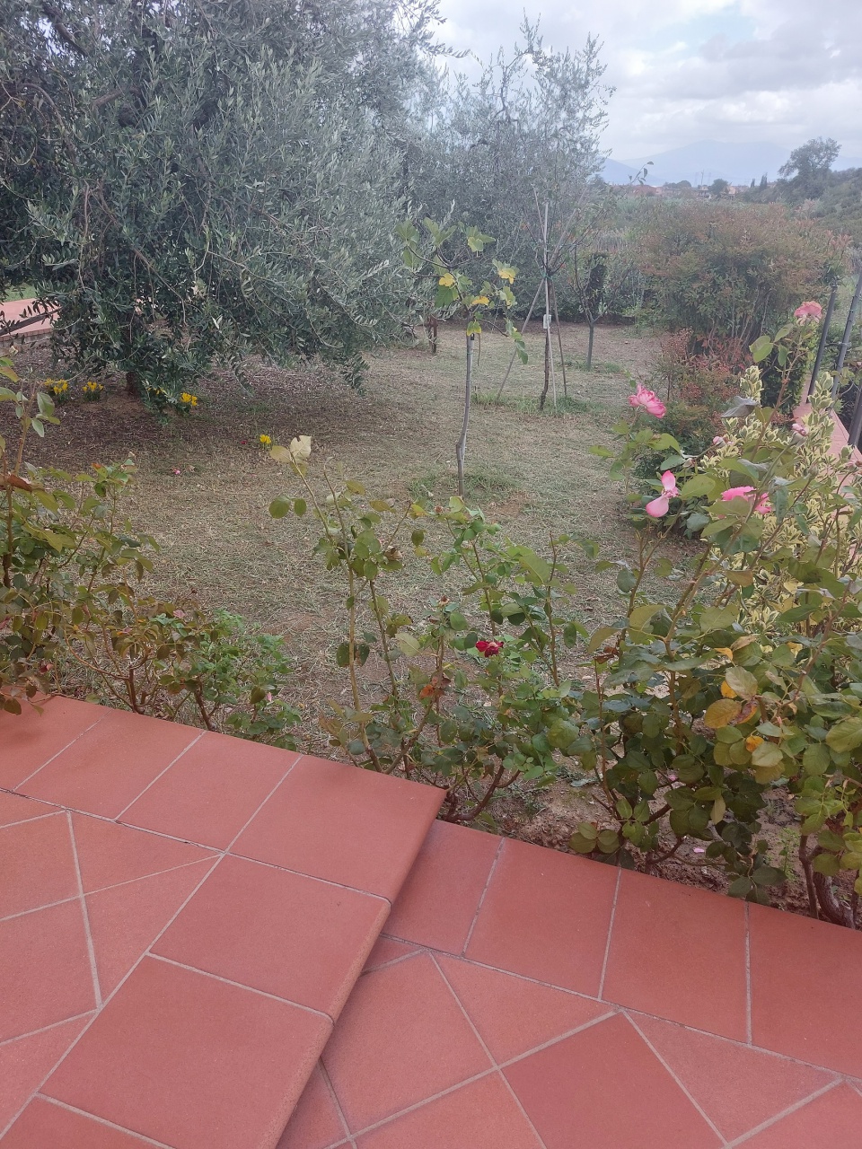 Villa con giardino a Carmignano