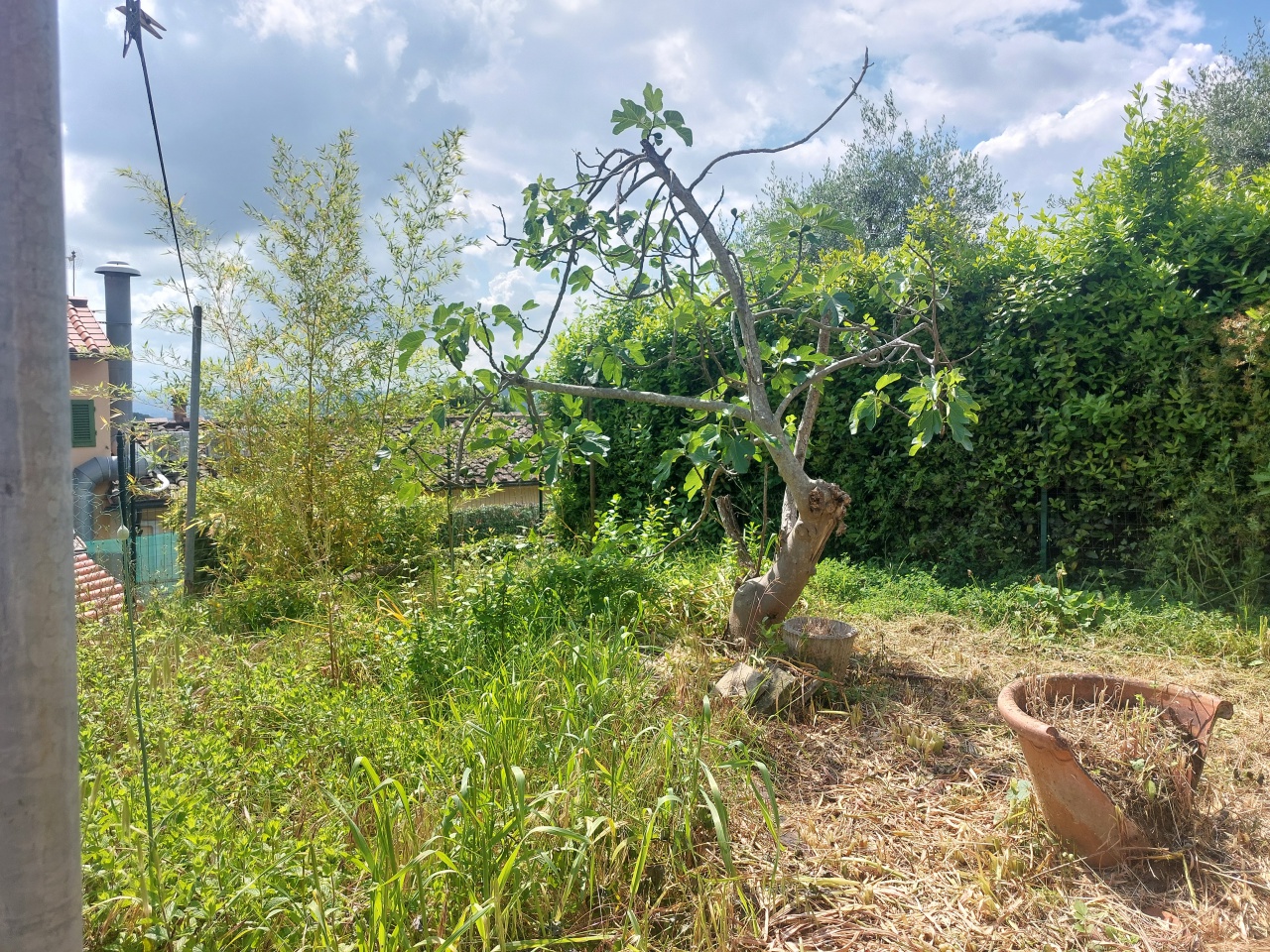 Casa indipendente con giardino a Carmignano