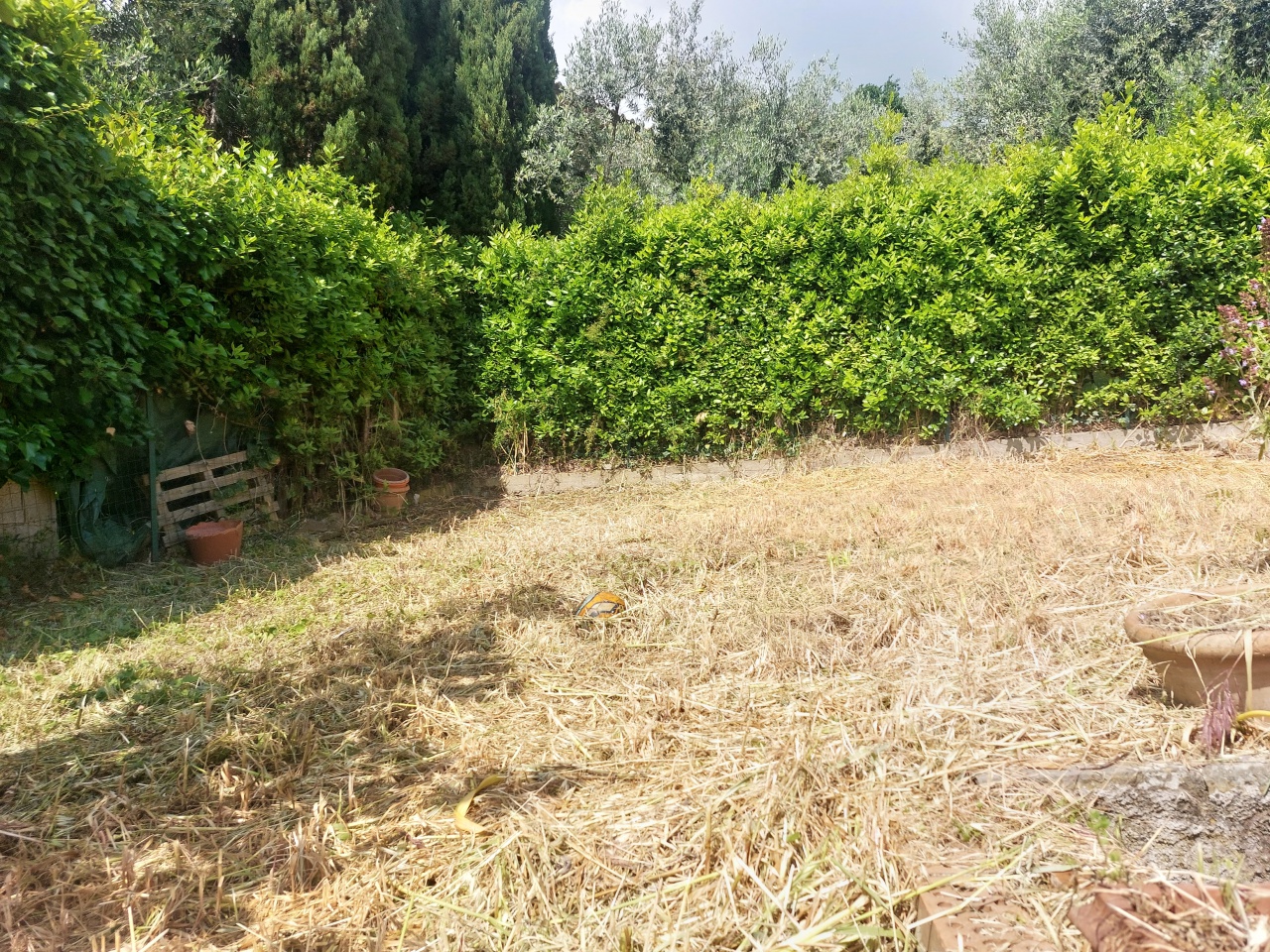 Casa indipendente con giardino a Carmignano